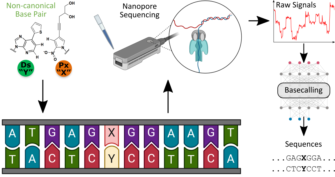 Overview of workflow