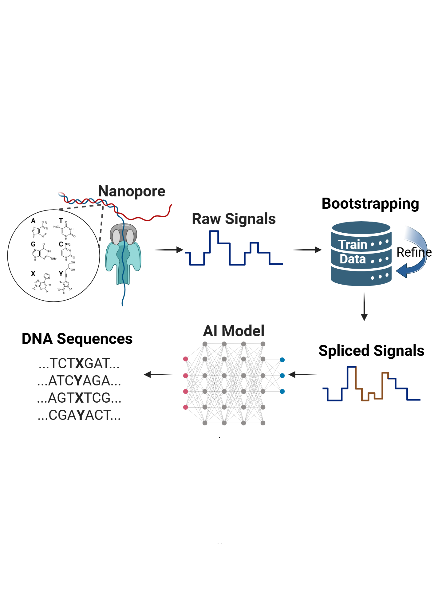 Deciphering non-canonical bases in nanopore sequencing data with AI